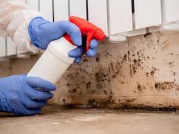 Professional Mold Removal & Remediation in Shallotte, NC